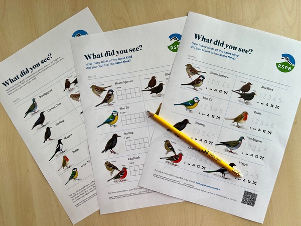 RSPB Birdwatch Sheets