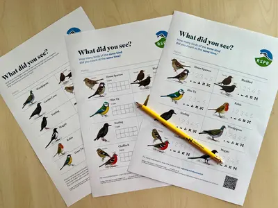 RSPB Birdwatch Sheets
