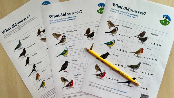 RSPB Birdwatch Sheets