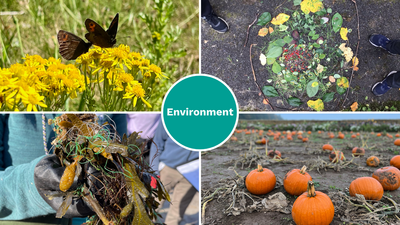 Maths Matters Enviornment