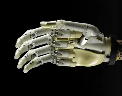 Bionic Hand